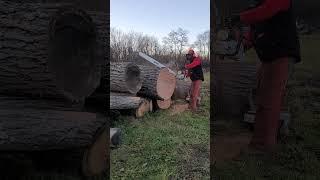 Stihl MS881 First Cut! #Stihl, #millinglumber, #ms881, #chainsaws