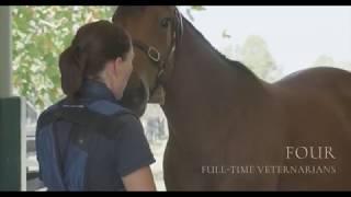 Coolmore Australia - Boarding