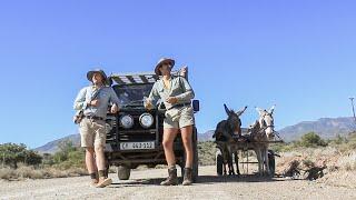 Traveling with Donkeys | Trailer