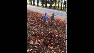 Ryan Jr. and Rory jumping in leaves