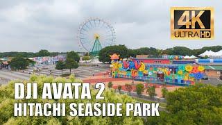 Flight over the Japanese amusement park Hitachi Seaside Park, 4K, DJI Avata 2