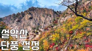 무엇보다 아름다운 설악산 단풍을 보여드립니다 | 천불동~봉정암~구곡담~백담사