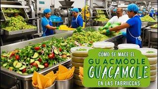 Como se cosechan aguacates para hacer guacamole en las fabricas