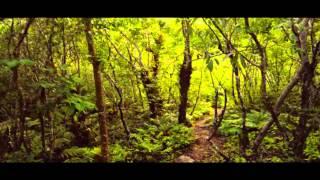 Than sadet waterfall koh Phangan Thailand