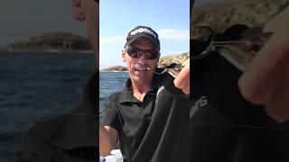 live bait trolling for kingfish #quicktips #fishing