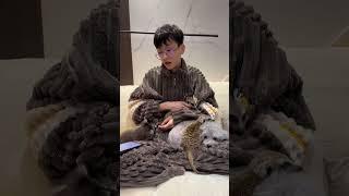 #浣熊#小浣熊#干脆面 #萌宠出道计划 回答上个浣熊饲养视频的几个疑问!只是希望能帮助到想要去养浣熊的朋友。