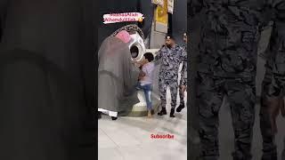 Hajar al-aswad(The Black Stone)️ #alhamdulillah #mashallah #makkah ️ #shorts #shortsvideo 