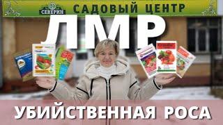 ЧЕМ ПОБЕДИТЬ ЛМР НА РОЗАХ? Что у нас есть, и как это работает! 25 января 2025 г.