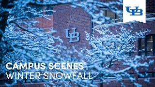 Winter Snowfall | University at Buffalo