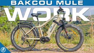 Bakcou Mule Review | Fat Tire Electric Bike (2021)