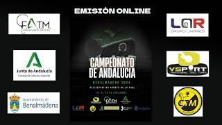 Mesas 1, 8, 9, 16 y 17 - Campeonato de Andalucía 2024 (29/12/24)