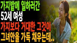 가지밭에 일하는데 거대한 '그것'때문에 그녀는 충격에 빠지는데... |황혼, 황혼연애, 황혼로맨스, 황혼모음, 황혼재혼|