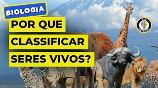  Por que Classificamos os Seres Vivos? | Brio Educação