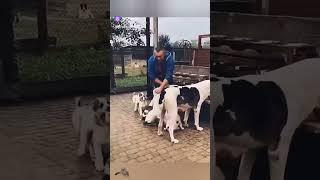 Я не такой!#юмористическийконтент #смехдослез