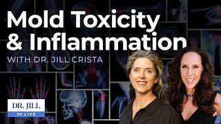 64: Dr. Jill Interviews Dr. Jill Crista on Mold Toxicity, Lyme Disease and Neuroinflammation