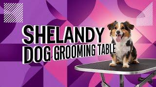 Discover The Ultimate Shelandy Electric Pet Grooming Table!