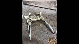 Whitetail Deer Skullcap with Antlers