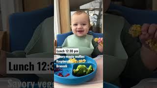 What my 9 month old eats in a day!  #shorts #blw #babyfood #baby