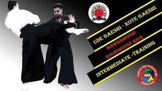 Effective Strategies for Countering Roundhouse Kicks: UDE GAESHI & KOTE GAESHI