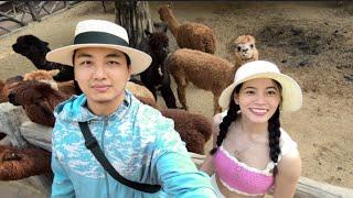 THAILAND TRIP EP-8|RAMSA CHI TINRÊNG AWMNA SAFARI WORLD||DOLPHIN SHOW-AN FING KHER MAI!