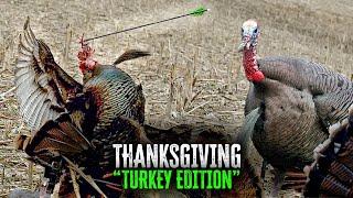 Turkey Bow Hunting Compilation   #turkey #archery #slowmotion #slomo