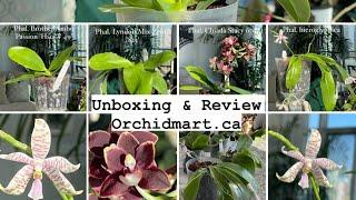 Unboxing Orchidmart.ca review