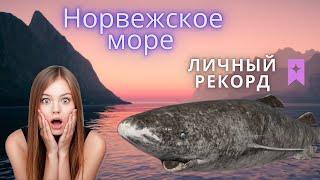 РР4  Гренландская Полярная Акула | Личный рекорд по Норвежскому морю  | Bulochka97 