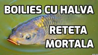 Boilies cu halva. Reteta mortala pentru pescuit la crap si caras