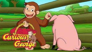 George the Farmer  Curious George  Kids Cartoon  Kids Movies  Videos for Kids