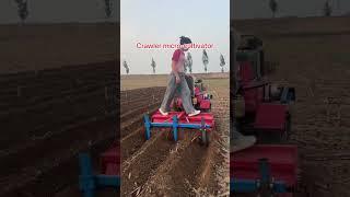 Game-Changing Chinese Micro-Cultivator: Smart Farming for the Modern Age | China Tech Hub