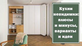 Кухни невидимки: плюсы и минусы, варианты и идеи