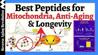 BEST Peptides for Health & Longevity - HOW These Short Amino Acid Chains Can Transform Your Health?