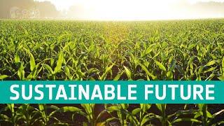 A sustainable future