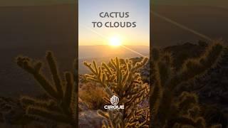Cactus to Clouds | Mount San Jacinto Trail Running, Palm Springs