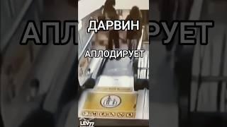 Эволюция по Дарвину#lev77 . #приколы