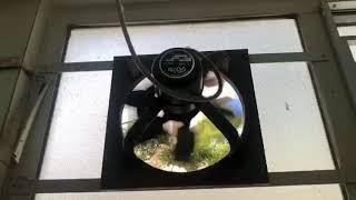 Rita brand industrial/commercial duty exhaust fan