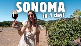 Is Sonoma REALLY better than NAPA?  Best wineries + things to do in Sonoma!