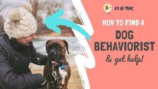 How to Find a Dog Behaviorist + Who NOT To Consult With!