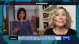 President/CEO of Humane Society tells PIX11 how to help animals during outbreak