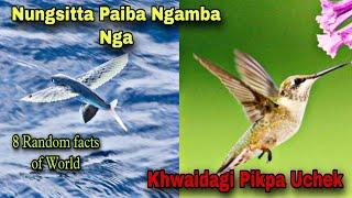 Nungshitta Paiba Ngamba Nga||8 Random facts of World||World Facts Story