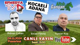 05.11.2024 Salı Adana ve Kocaeli At Yarışları Altılı Ganyan Tahminleri