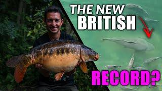 THE NEW BRITISH RECORD CARP? Behind The Scenes at RH Fisheries