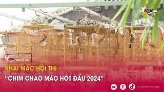 Khai mạc Hội thi “Chim Chào Mào hót đấu 2024”