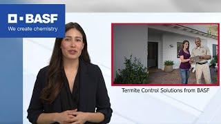 Termidor® termite solutions from BASF