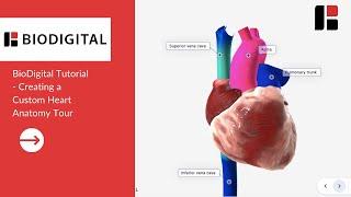 BioDigital Tutorial - Creating a Custom Heart Anatomy Tour