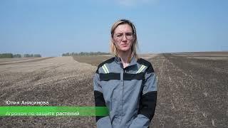 ОПЫТ/Оптимальные сроки внесения безводного аммиака/Часть 1
