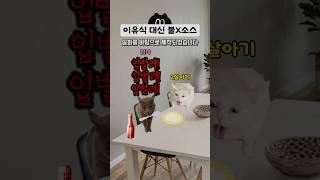 불X소스는 시작일 뿐이었다