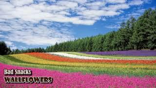 Bad Snacks - Wallflowers