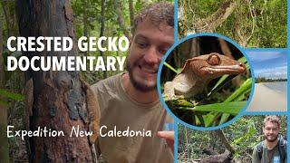 Crested Geckos of New Caledonia: The Documentary