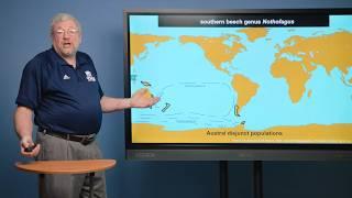 How Did Animals Spread Around the World After Noah's Flood? - Dr. Kurt Wise